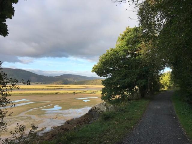 Lawrenny Lodge バーマス エクステリア 写真